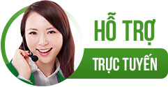 hỗ trợ trực tuyến