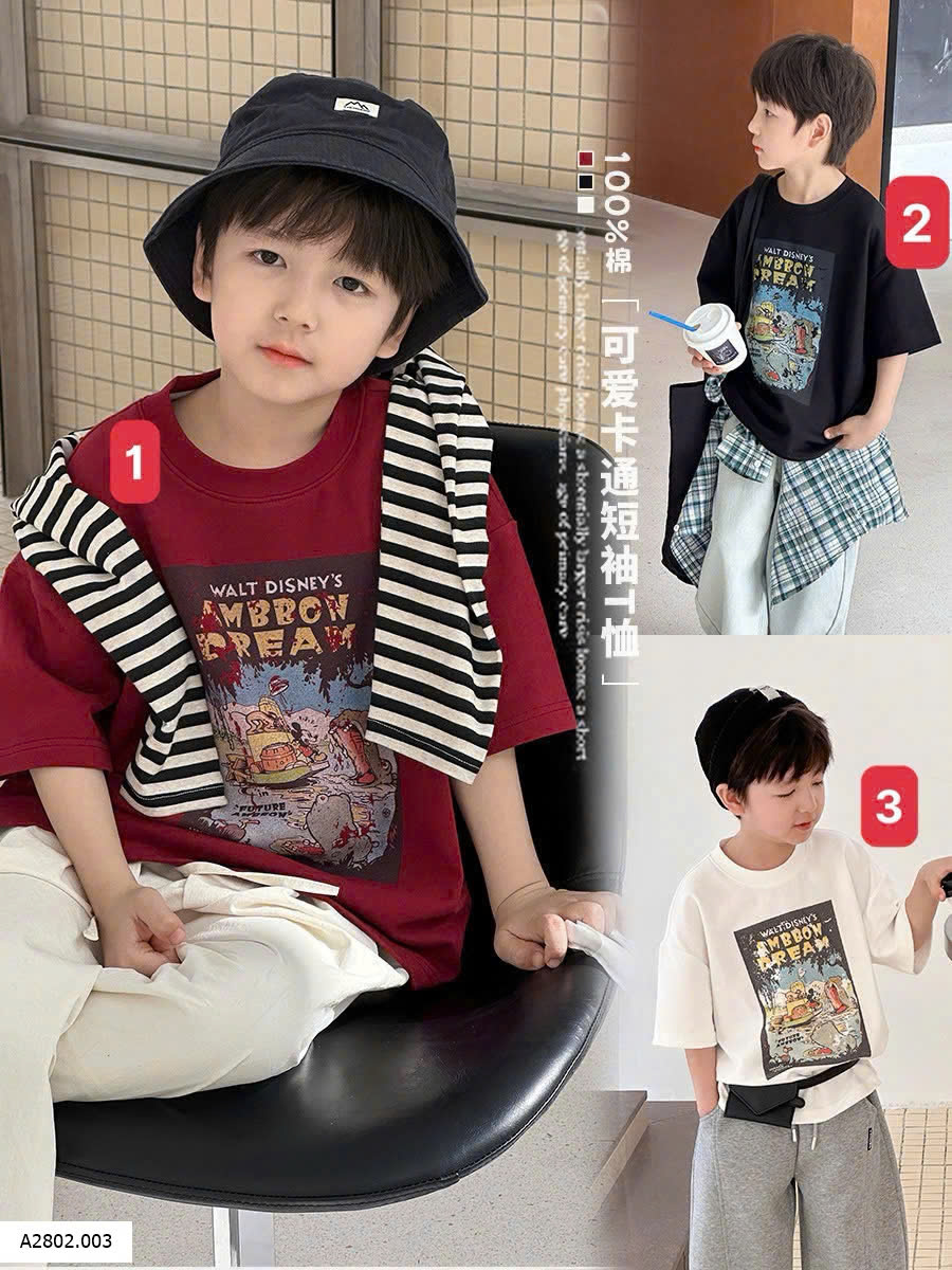 ÁO THUN IN HÌNH AMBB BÉ TRAI Sỉ giá như sau Sz 90-150 #96k Sz 160 #106k