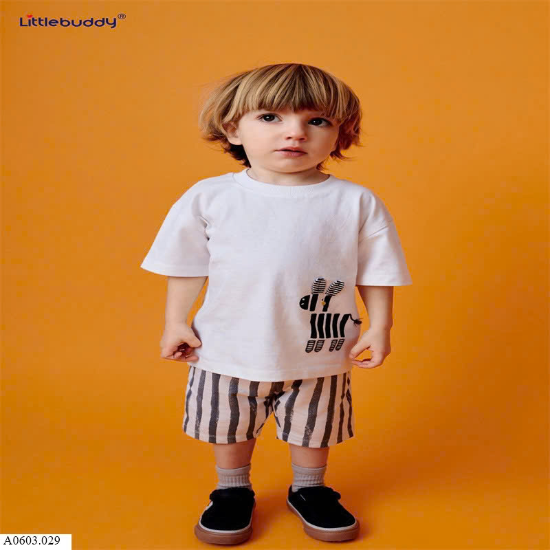 Sét nhà Littlebuddy Giá sỉ như sau:  M1-3: 126k  M2: 135k