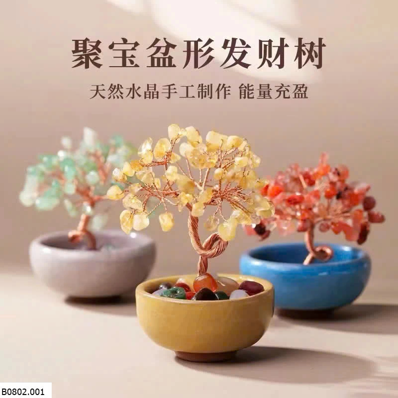 CÂY PHÁT TÀI MINI  Sỉ 65k