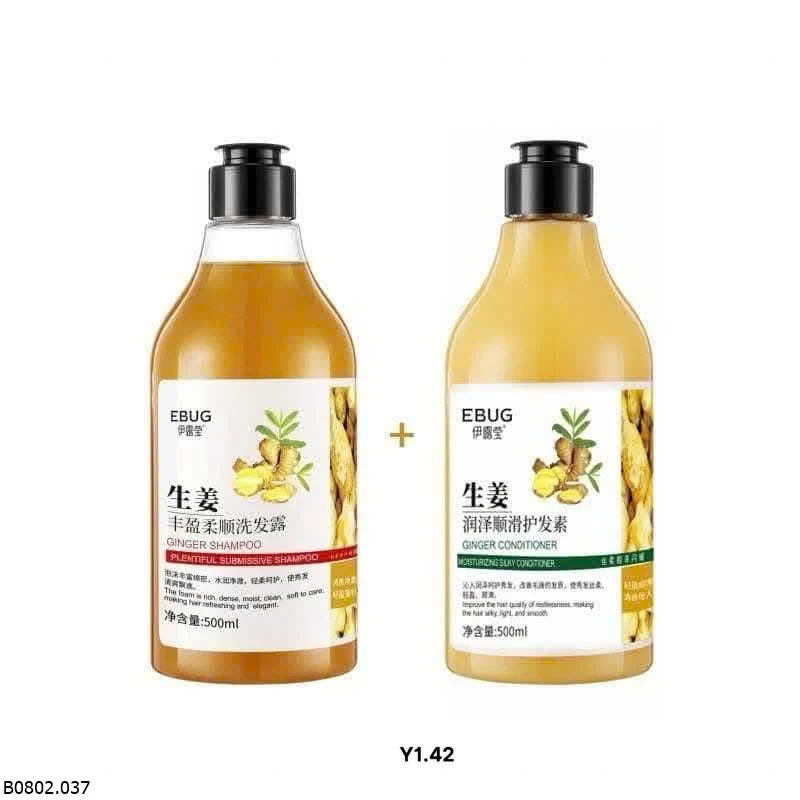DẦU CẶP GỪNG TƯƠI MỌC TÓC   Sỉ 75k/1 set 