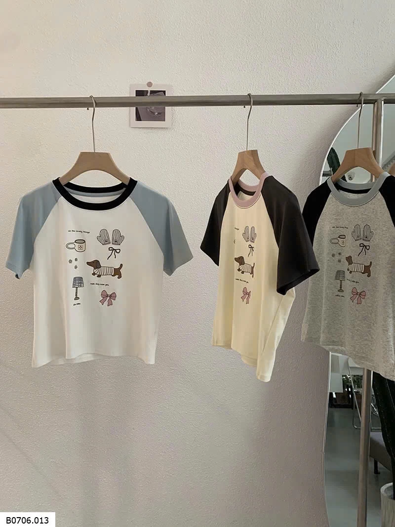 CROPTOP THÊU PHỐI MÀU TAY    Sỉ 108k 