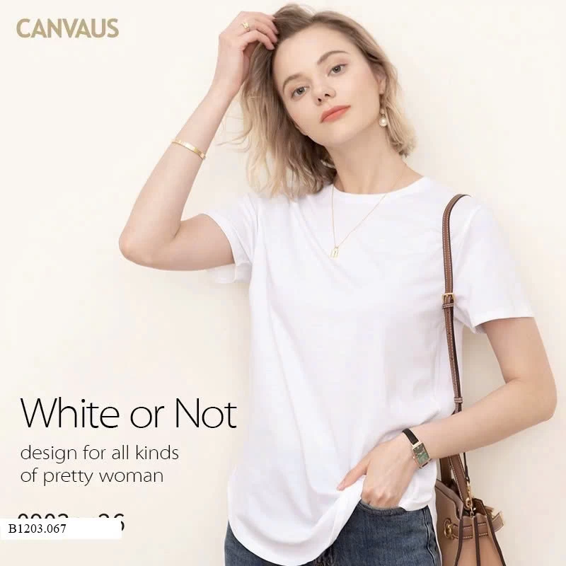 ÁO PHÔNG  CANVAS BASIC   Sỉ 155k