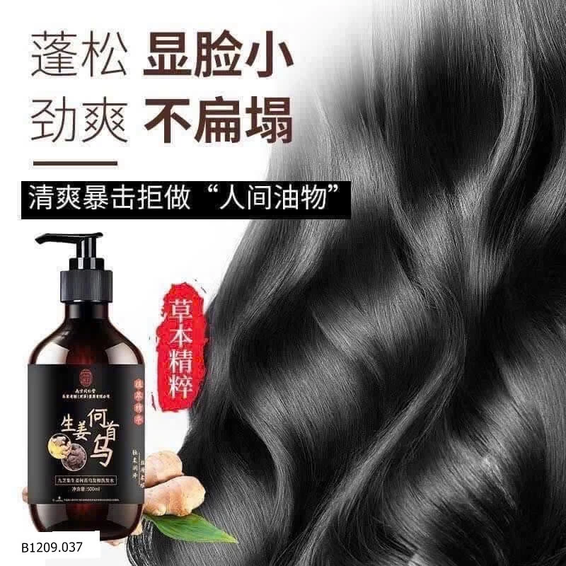 DẦU GỘI GỪNG HÀ THỦ Ô ĐỒNG NHÂN ĐƯỜNG   Giá sỉ 109k/1 set 2 chai
