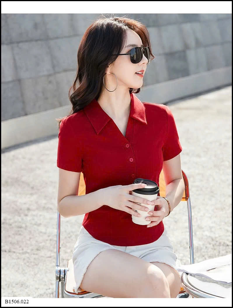 ÁO POLO CỔ V  Sỉ 145k