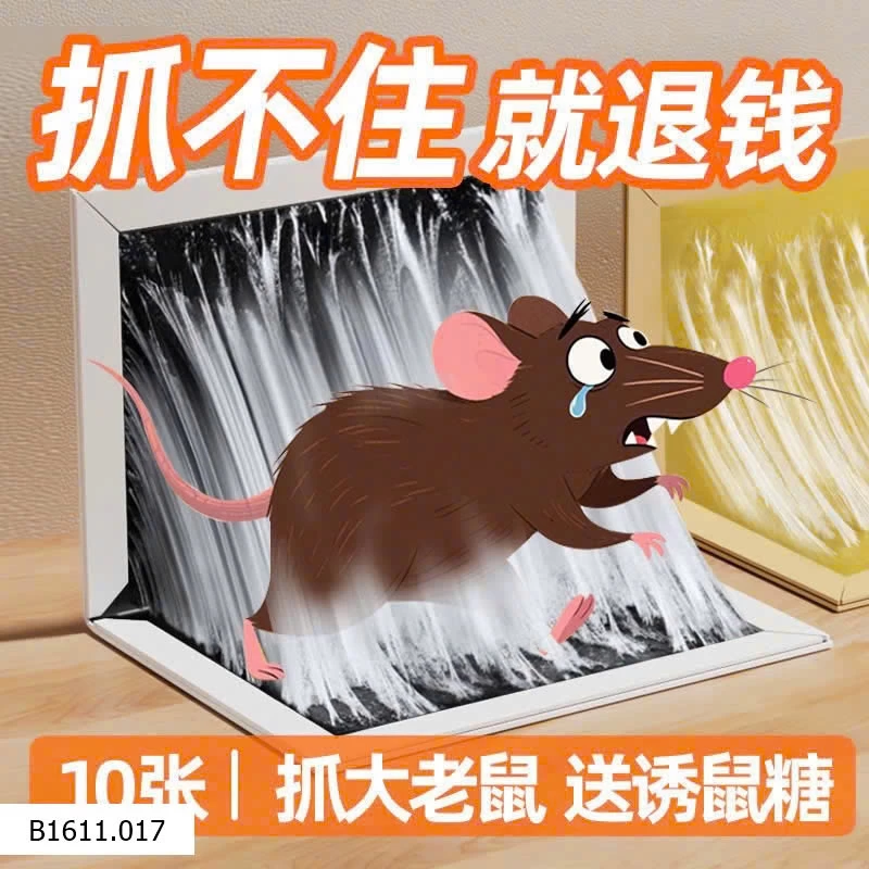 12 MIẾNG DÍNH CHUỘT SIÊU DÍNH  Giá sỉ 105k