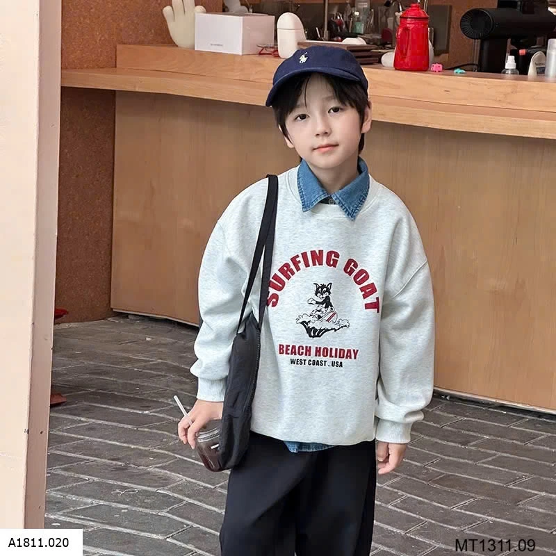 ÁO NỈ AMBB Giá sỉ 150k