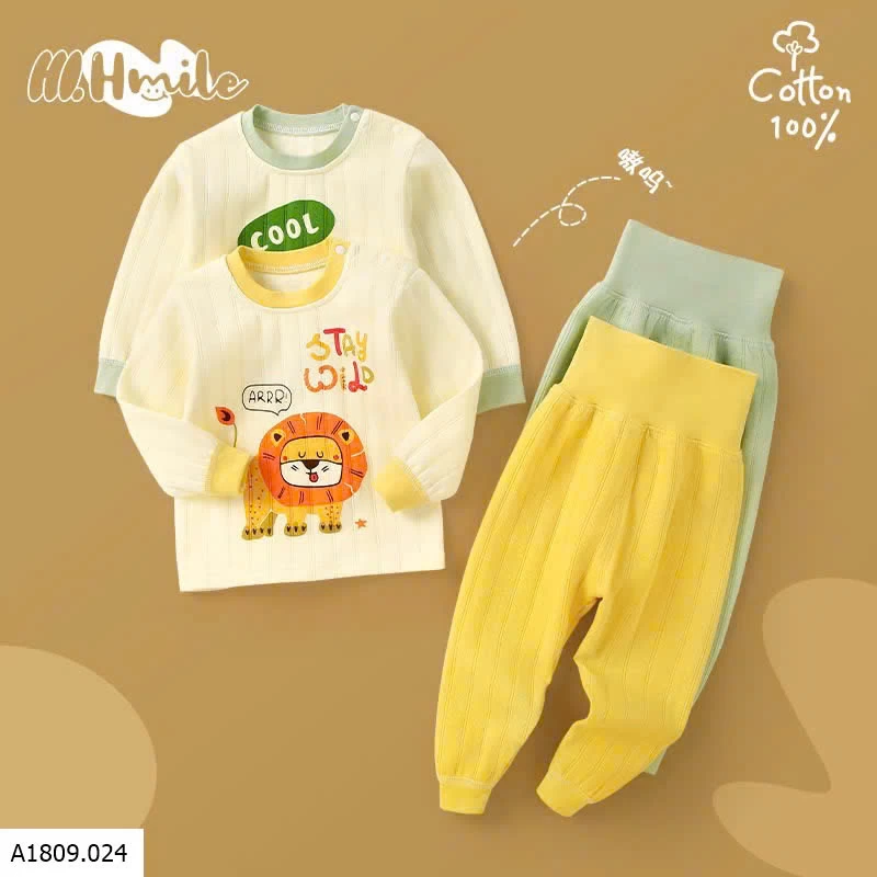 BỘ NGỦ COTTON  CẠP CAO   Giá sỉ 99k/b
