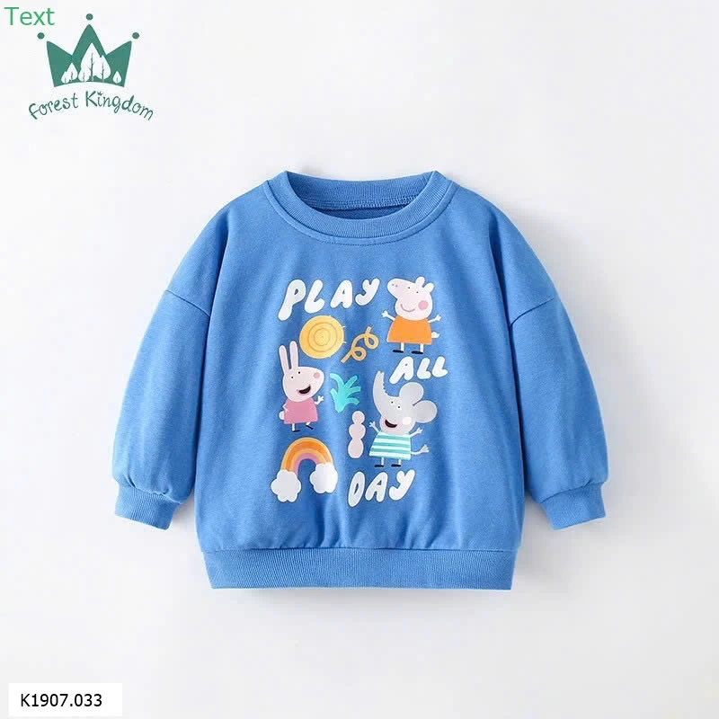 Áo nỉ dài tay   Sỉ 95k