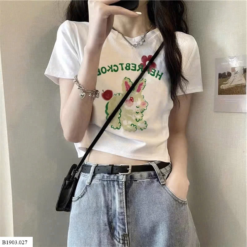 ÁO PHÔNG CROPTOP NỮ   Sỉ 81k