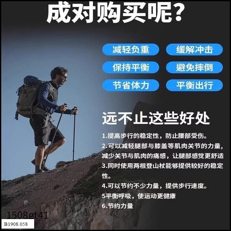 Gậy leo núi hợp kim nhôm Giá sỉ 75k