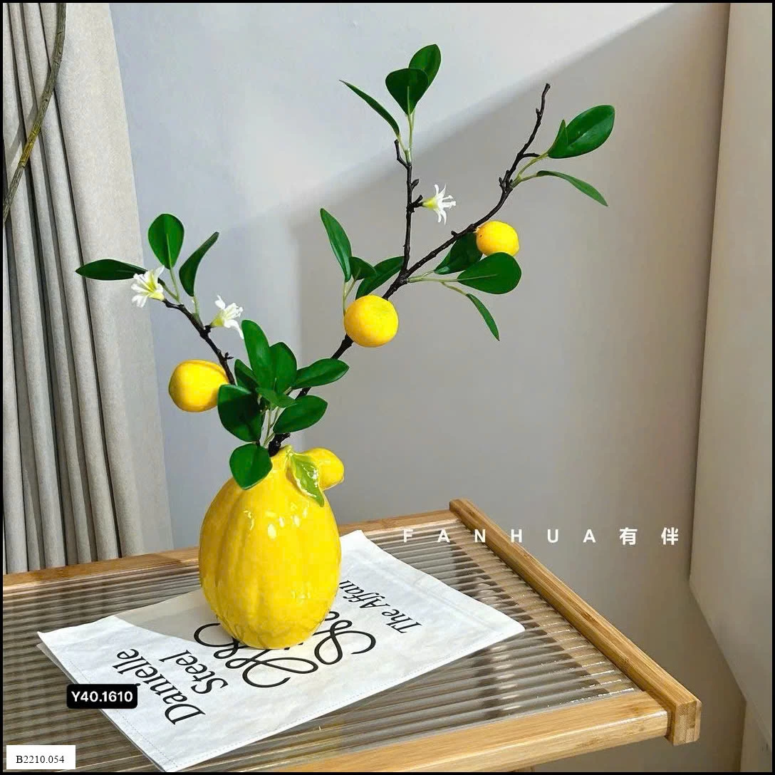 Bình chanh  Giá sỉ 105k