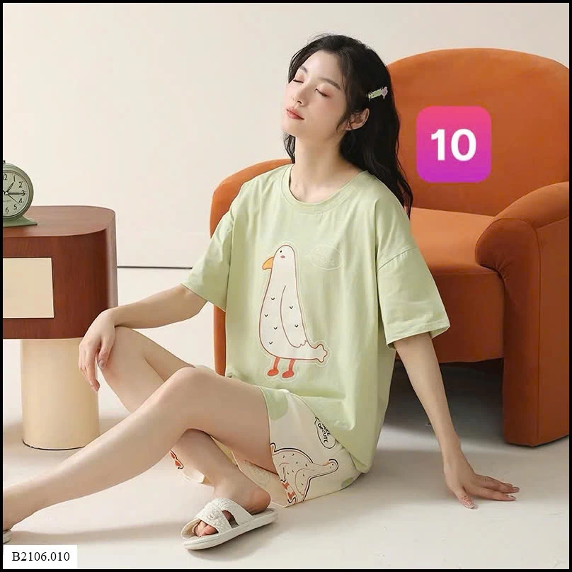 BỘ ĐÙI COTTON MẶC NHÀ Sỉ giá 150K