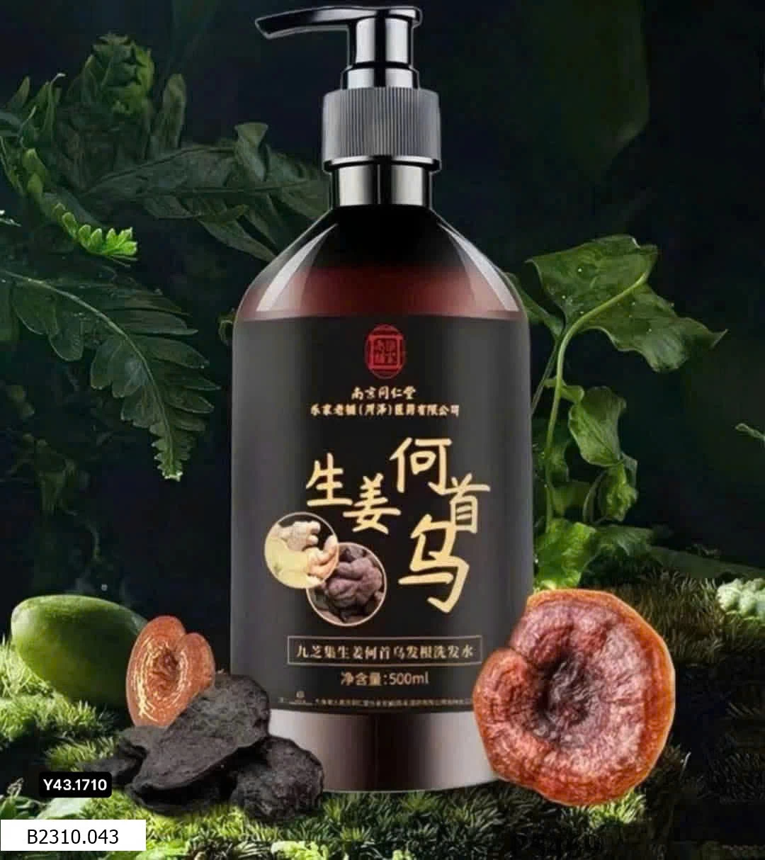 DẦU GỘI GỪNG HÀ THỦ Ô ĐỒNG NHÂN ĐƯỜNG   Giá sỉ 105k/2c