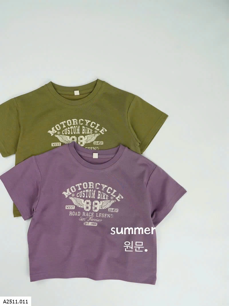 ÁO THUN HÈ SỐ 88  Giá sỉ 102k