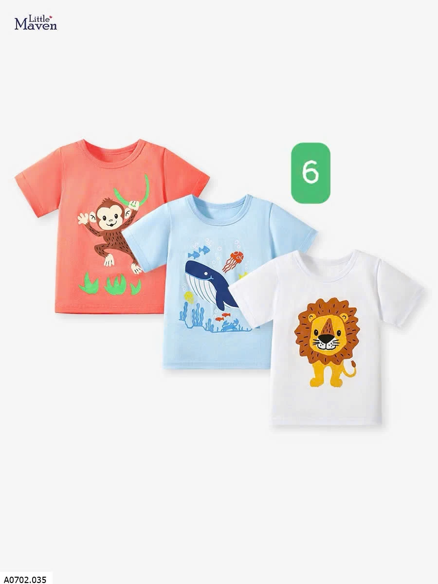 Set 3 áo thun nhà Little Maven  Sỉ 150k/1 set 3 chiếc