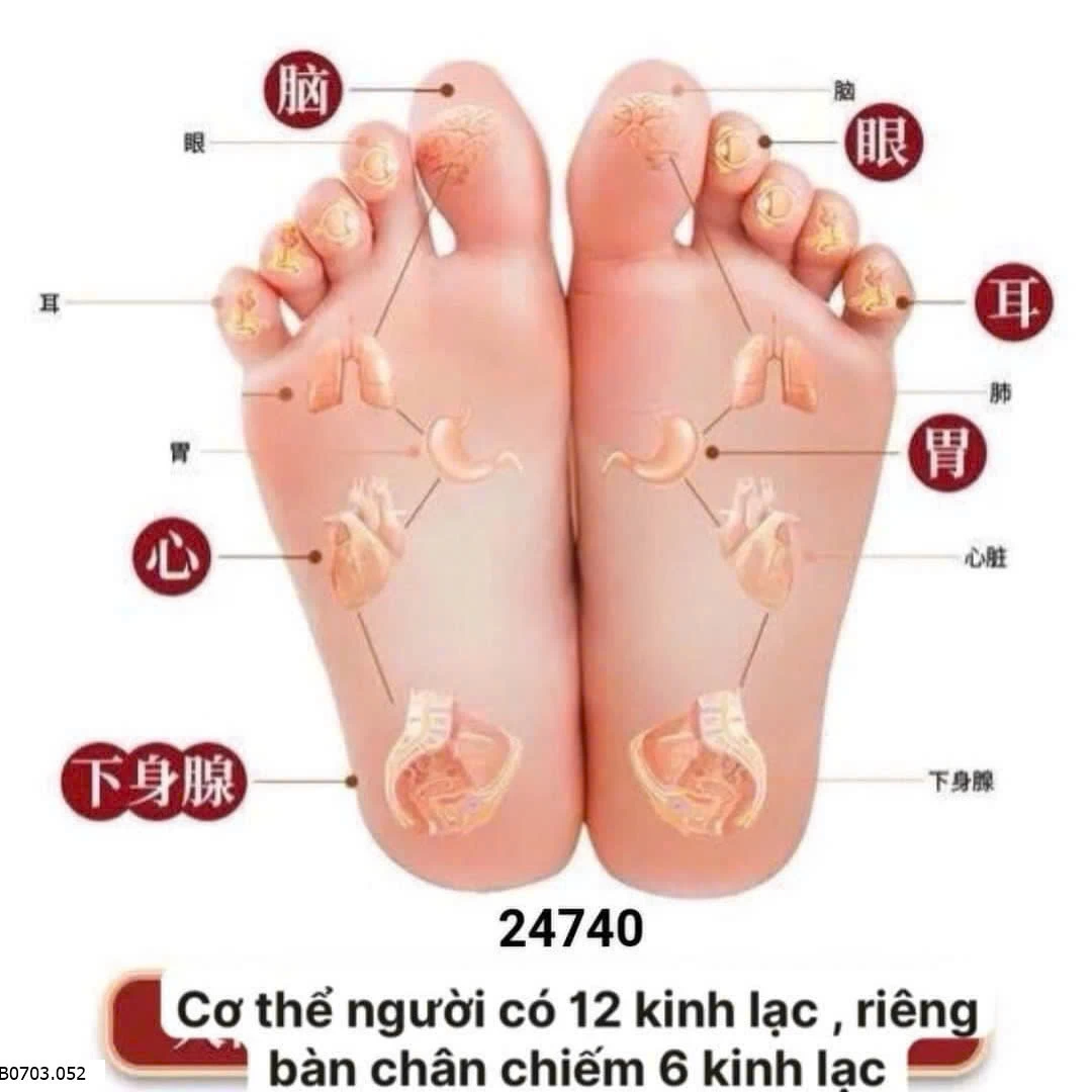 TÚI 30 GÓI THẢO MỘC NGÂM CHÂN ĐÔNG Y FUYAYA  Sỉ 90k/1 tui 