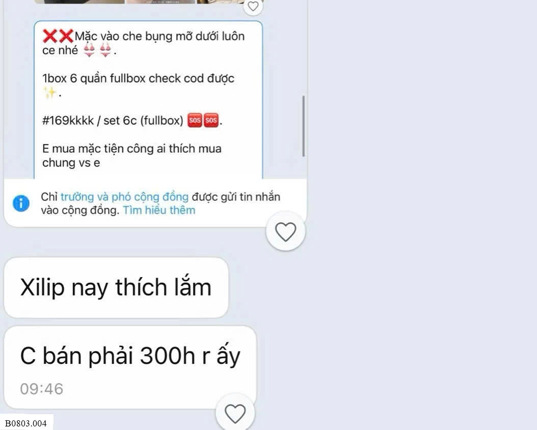 Sét 6 quần chíp  Sỉ 100k/ 1 hộp 6 quần
