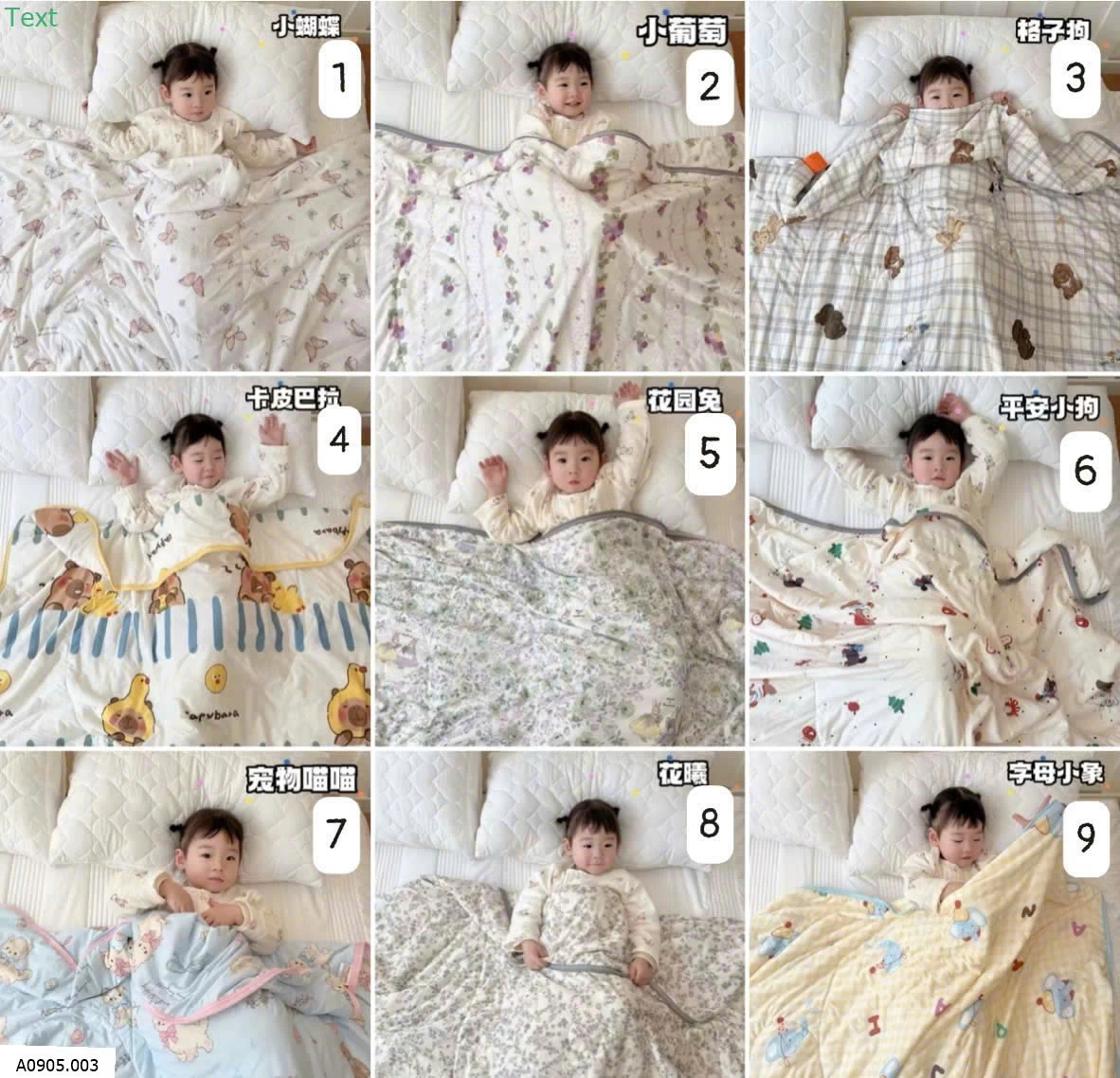 CHĂN COTTON HỌA TIẾT  Sỉ 140k