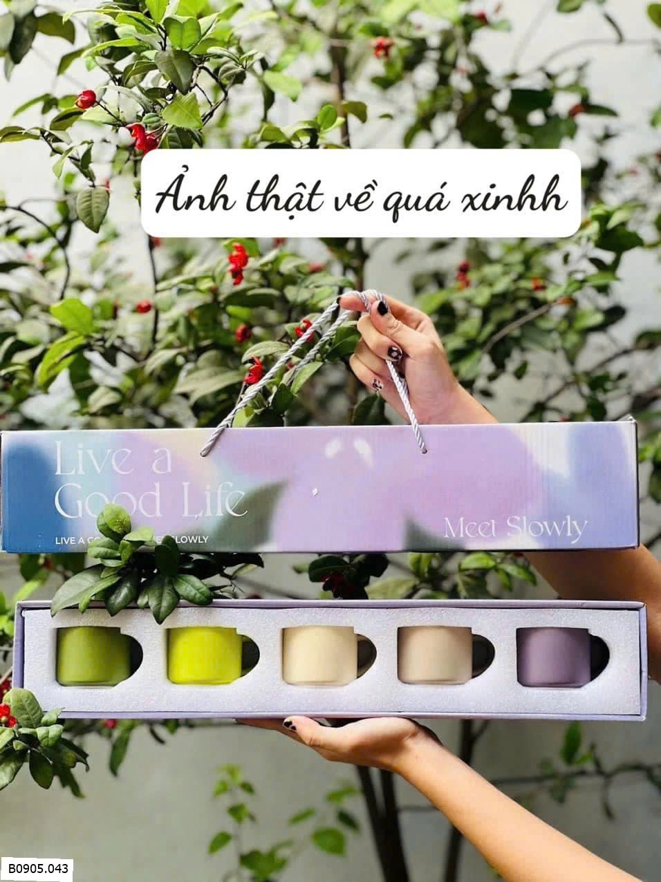 SET 5 CỐC TRÀ VINTAGE Sỉ 130k/1 set 
