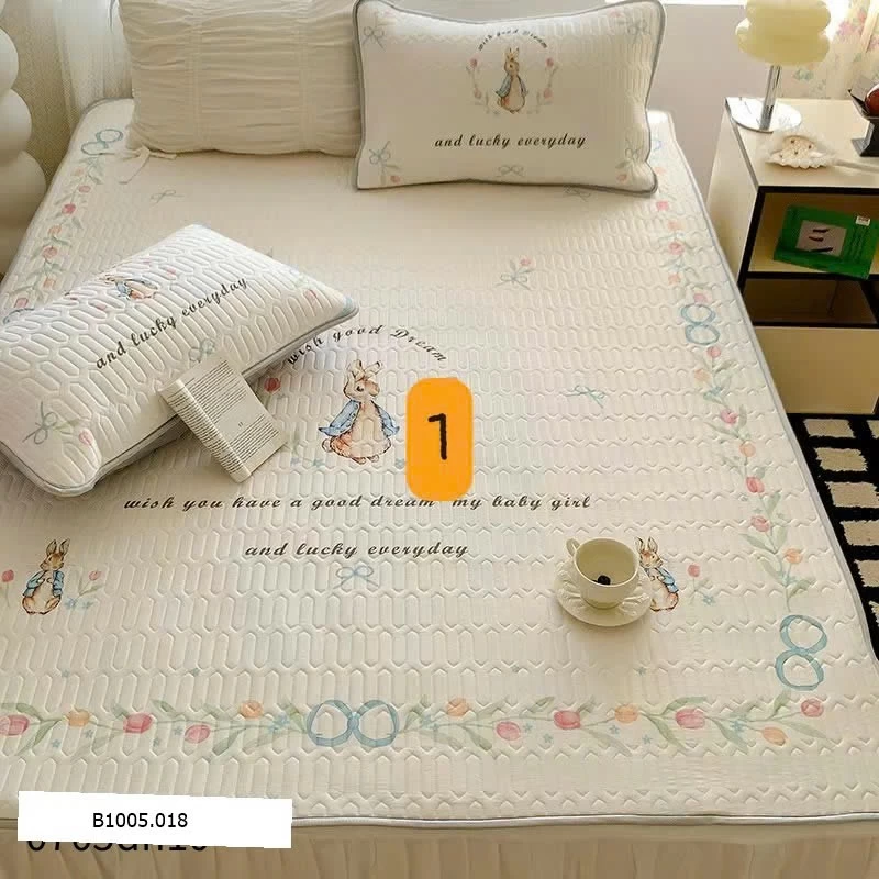 CHIẾU ĐIỀU HOÀ CAO SU KÈM VỎ GỐI Sỉ  1m5x2m: 270k      1m8x2m: 310k