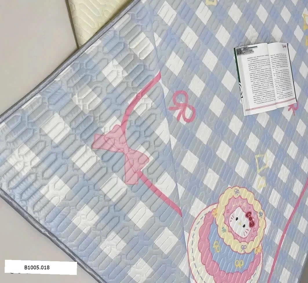 CHIẾU ĐIỀU HOÀ CAO SU KÈM VỎ GỐI Sỉ  1m5x2m: 270k      1m8x2m: 310k