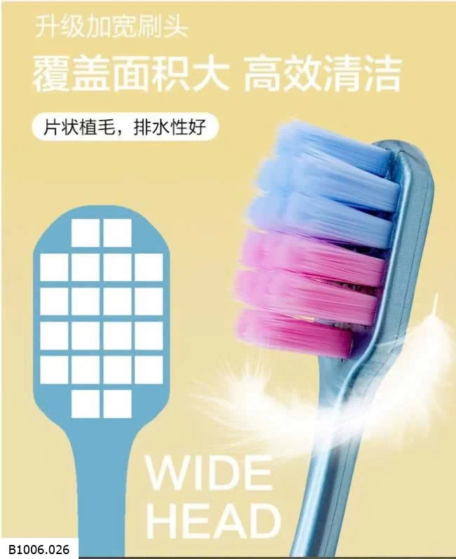   HỘP 12 BÀN CHẢI    Sỉ 80k/1 set 12 chiếc