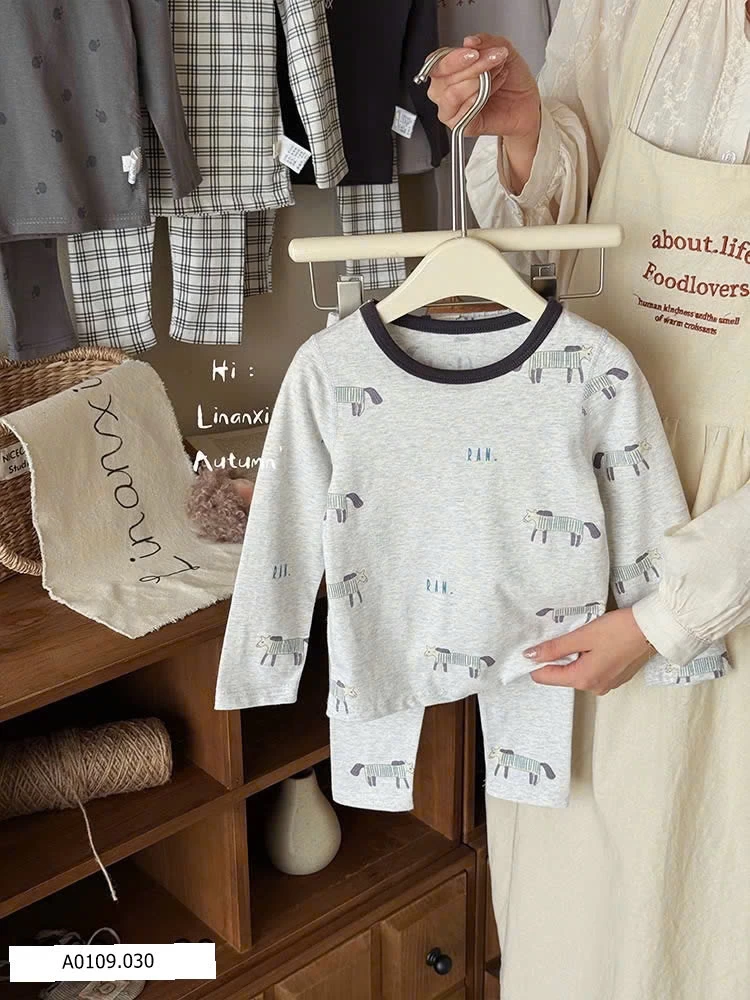 BỘ MẶC NHÀ   Giá sỉ 120k