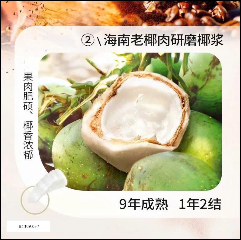 CÀ PHÊ DỪA SỮA COCONUT LATTE Giá sỉ 90k/ 3 túi (mỗi túi 12 gói)