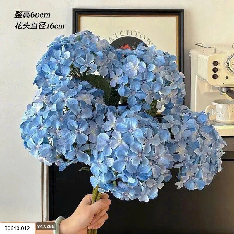 HOA CẨM TÚ CẦU   Giá sỉ 130k /1 bó 5  bông