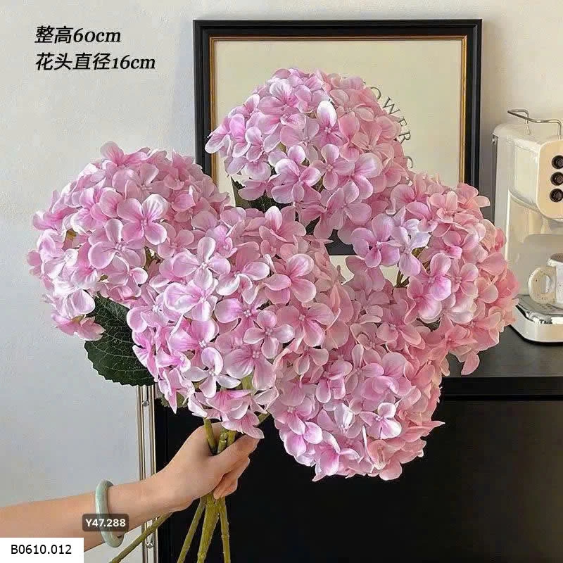 HOA CẨM TÚ CẦU   Giá sỉ 130k /1 bó 5  bông