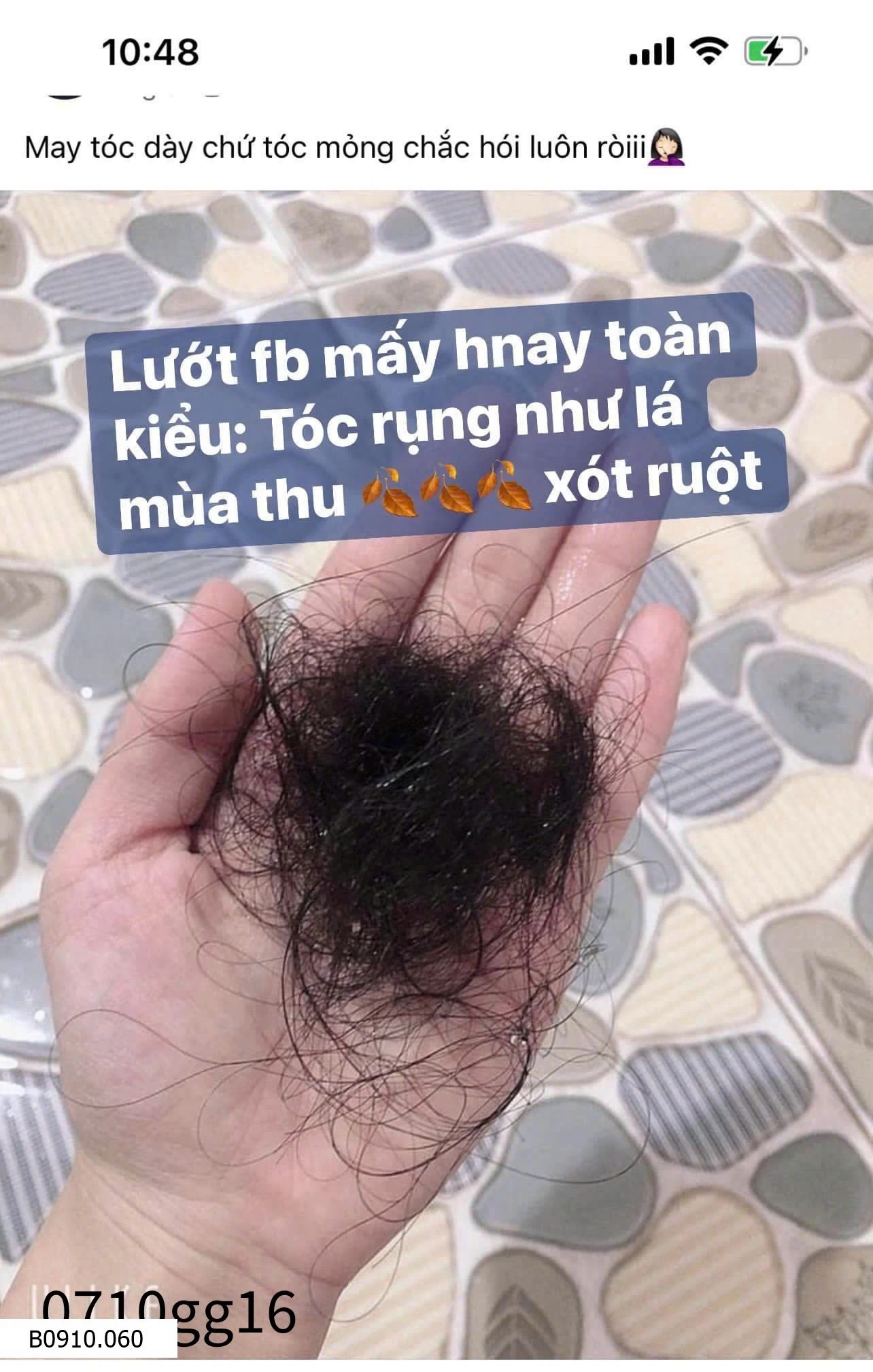 DẦU GỘI XẢ GỪNG CUZIN CHÍNH HÃNG   Giá sỉ 75k/chai