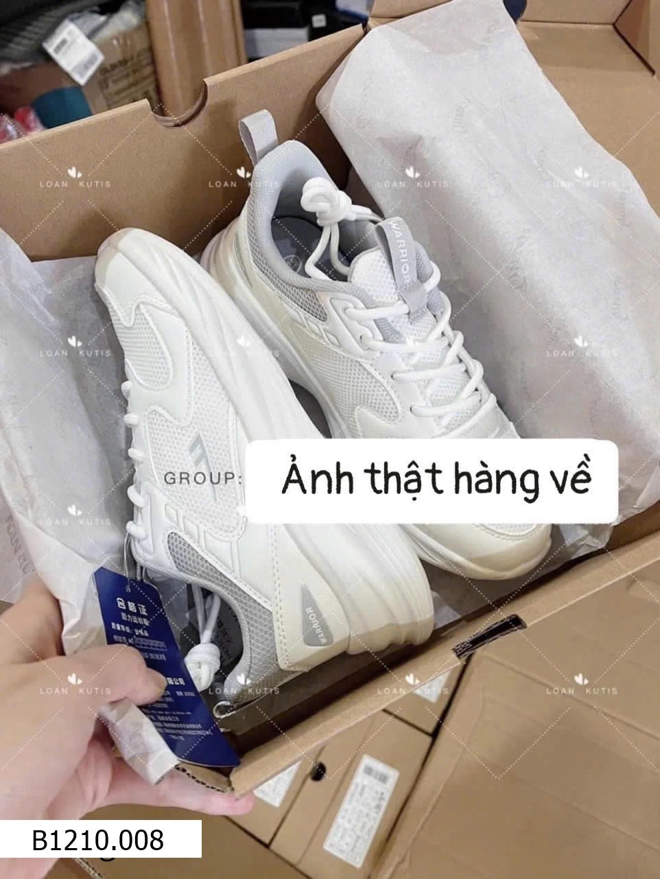 GIÀY WARRIOR  Giá sỉ 240ka