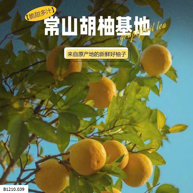 Trà Hoa Quả Ngâm Mật Ong   Giá sỉ 160k