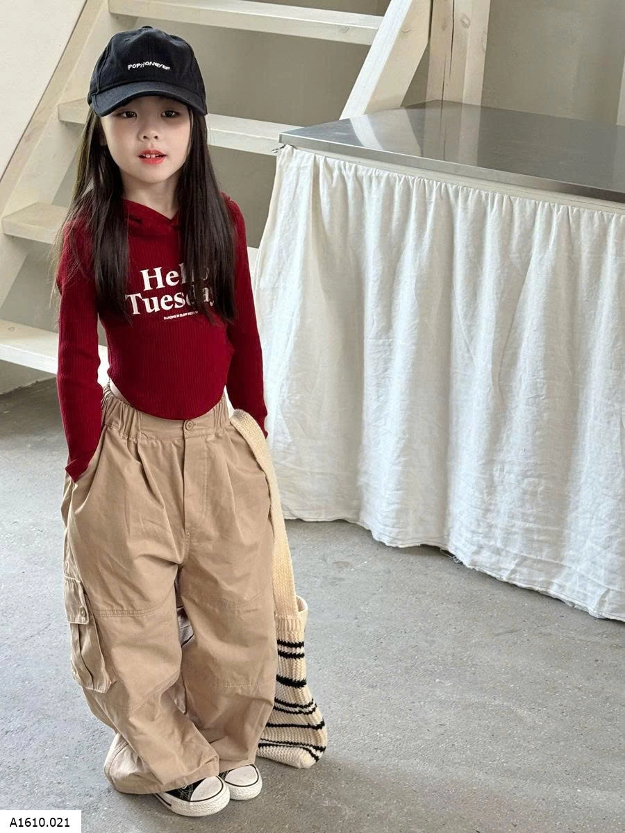 Áo hoddie thun gân cho bé    Giá sỉ 128k