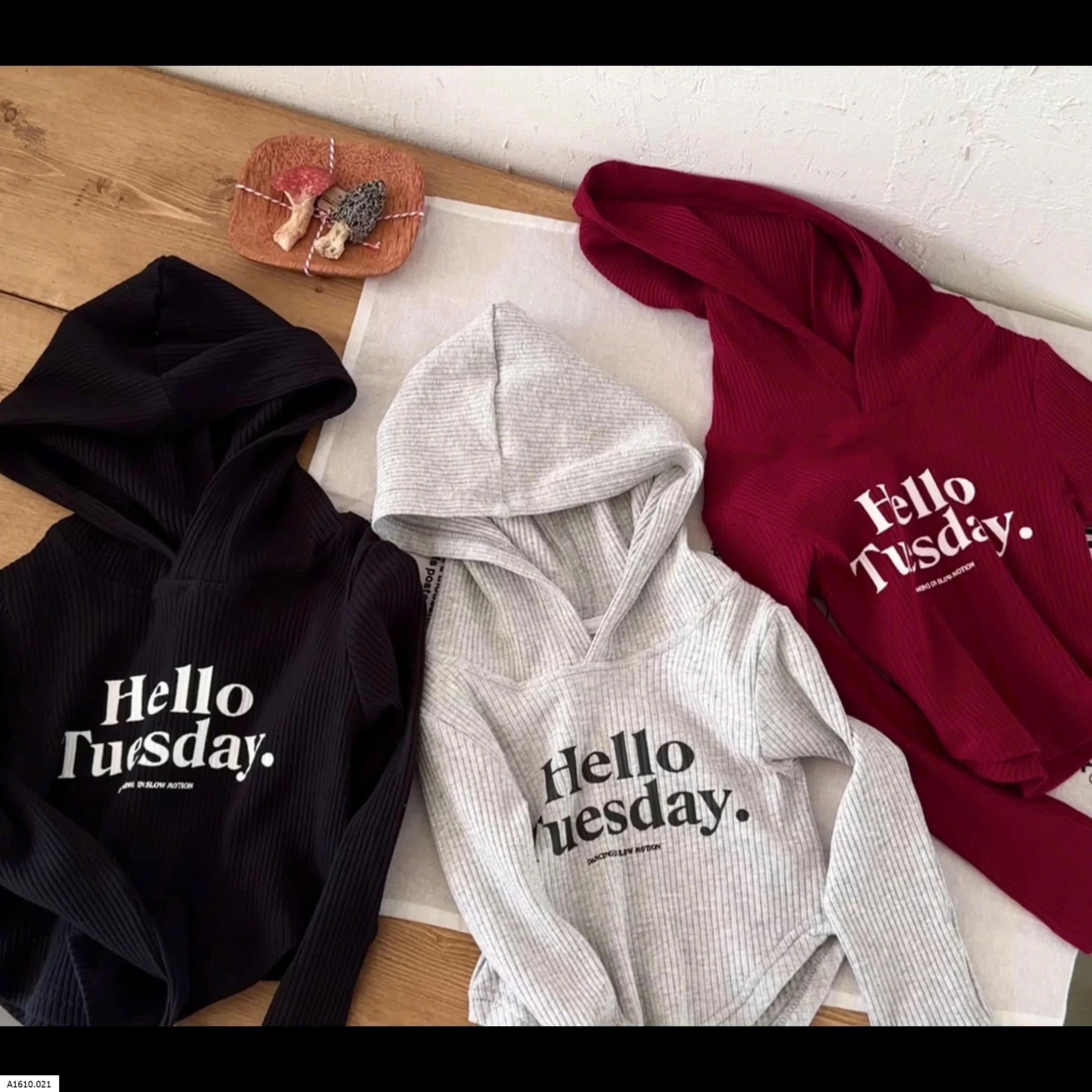 Áo hoddie thun gân cho bé    Giá sỉ 128k