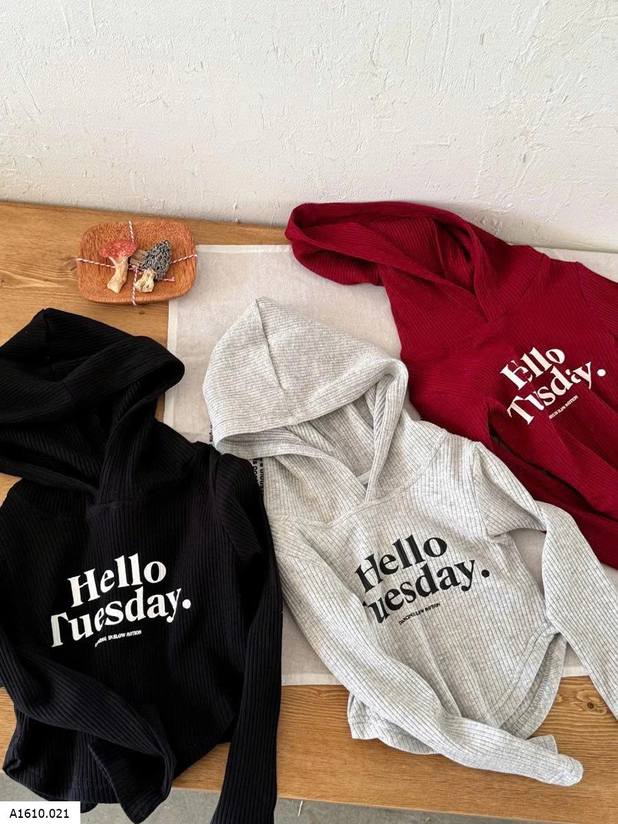 Áo hoddie thun gân cho bé    Giá sỉ 128k