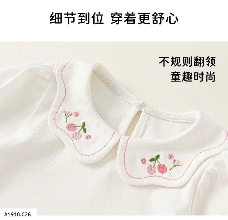 ÁO THUN DÀI TAY CỔ SEN    Giá sỉ 145k
