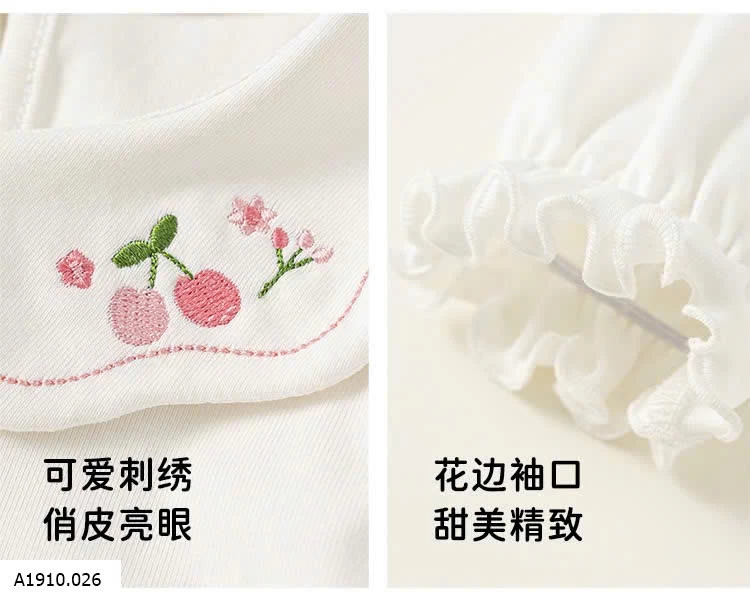 ÁO THUN DÀI TAY CỔ SEN    Giá sỉ 145k
