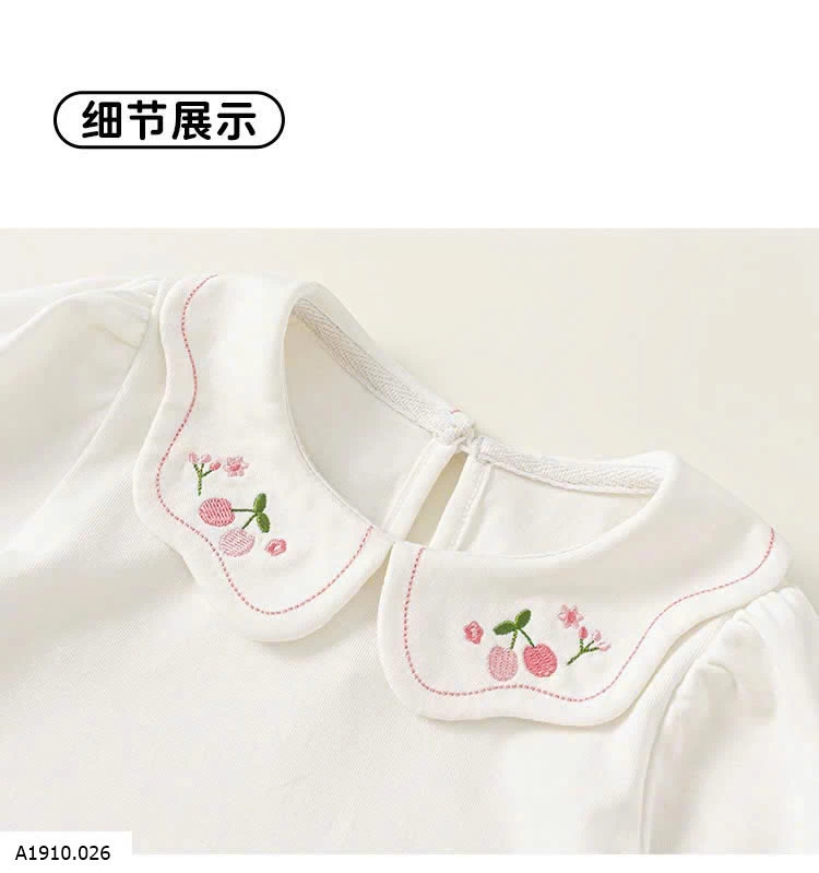 ÁO THUN DÀI TAY CỔ SEN    Giá sỉ 145k