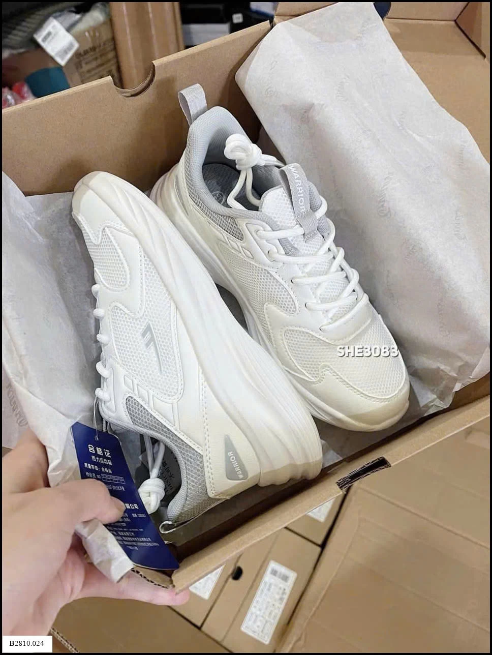 GIÀY WAR/RIOR Giá sỉ 245k/1đ