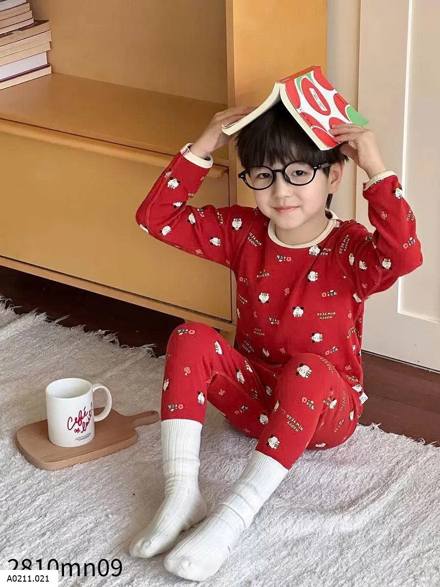 BỘ MẶC NHÀ DÀI TAY HÃNG AMBBKID   Giá sỉ SIZE 80-150 : 120k/1b Size 160:  140k/1b