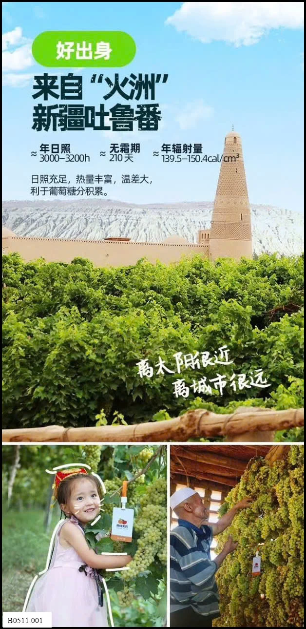 NHO KHÔ TÂN CƯƠNG Giá sỉ 145k