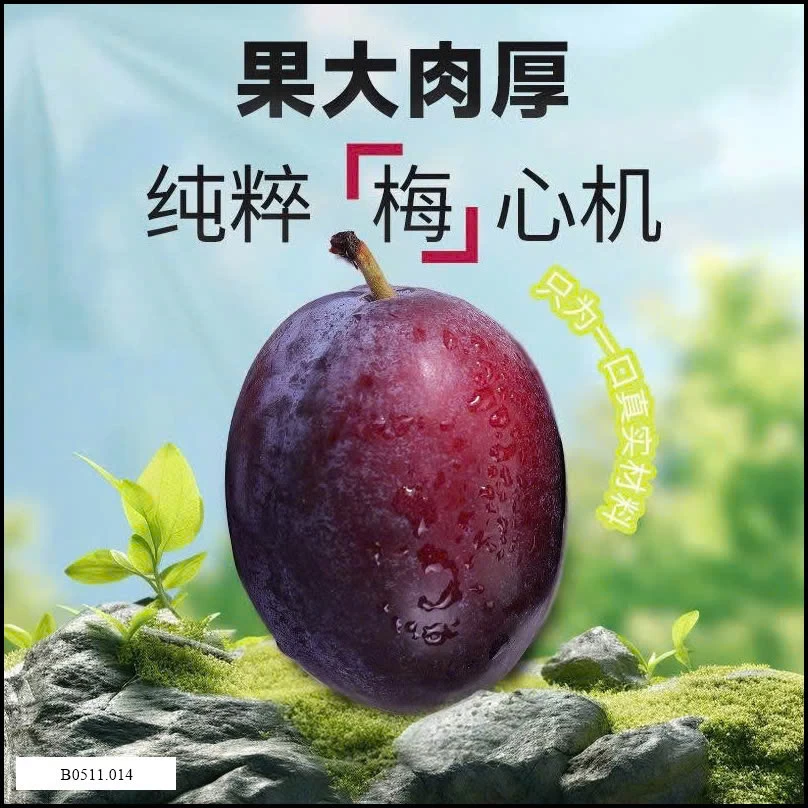 Ô MAI MẬN DẺO BIBIZAN Giá sỉ 95k/ 160g