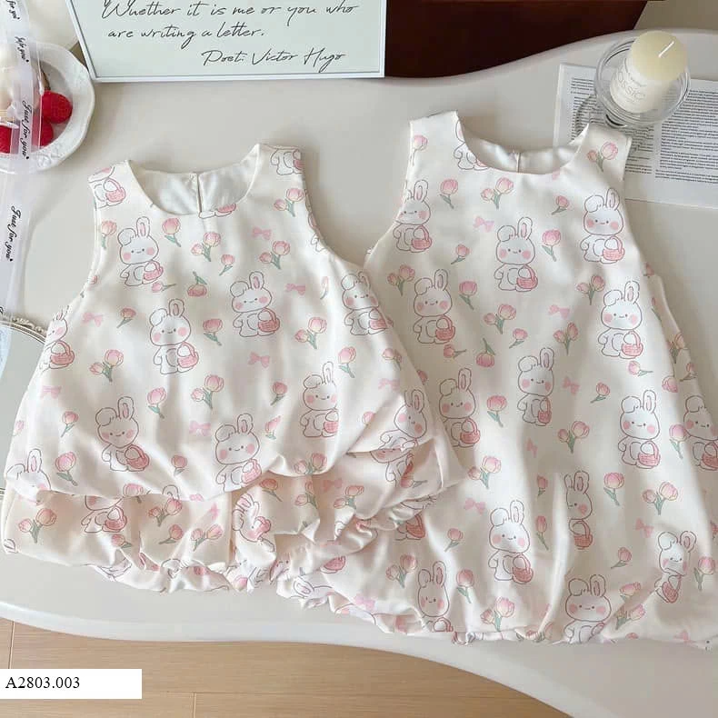 Set thỏ siêuu cute  Giá sỉ như sau: Váy: 115k set bộ : 155k