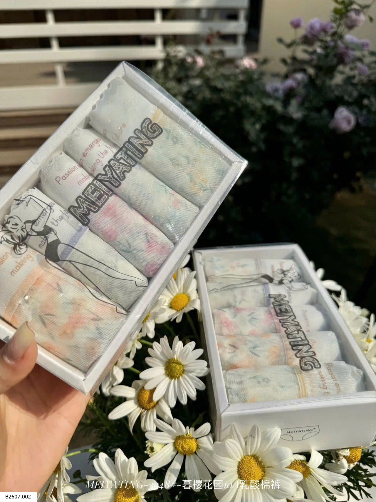 HỘP 5C QUẦN LÓT    Sỉ 115k/1 set 5 chiếc mix màu 