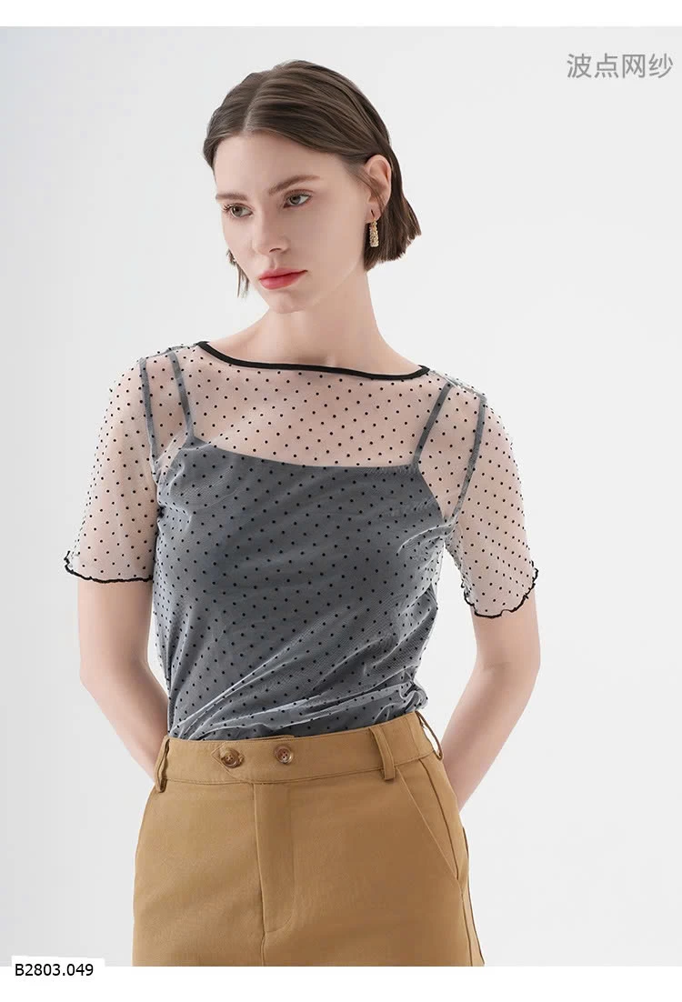 ÁO THUN LƯỚI  NHÀ CANVAUS  Sỉ 155k