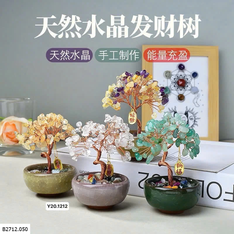 CHẬU CÂY DECOR  Giá sỉ 65K/C SỈ TỪ 2C 