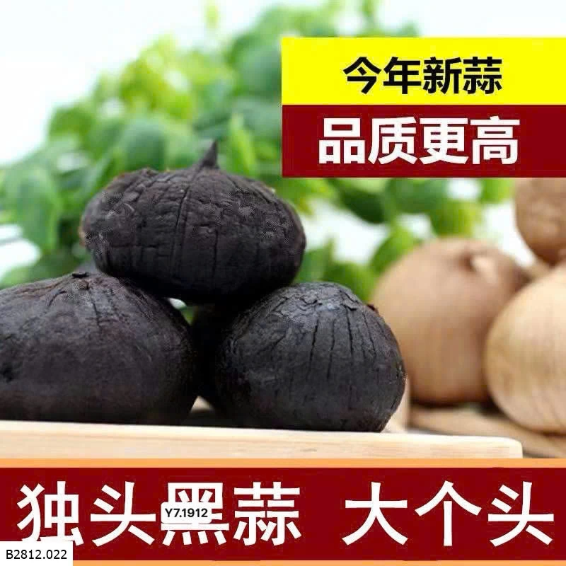 Tỏi đen cô đơn đặc sản Sơn Đông Tq  Giá sỉ 260k /1kg 