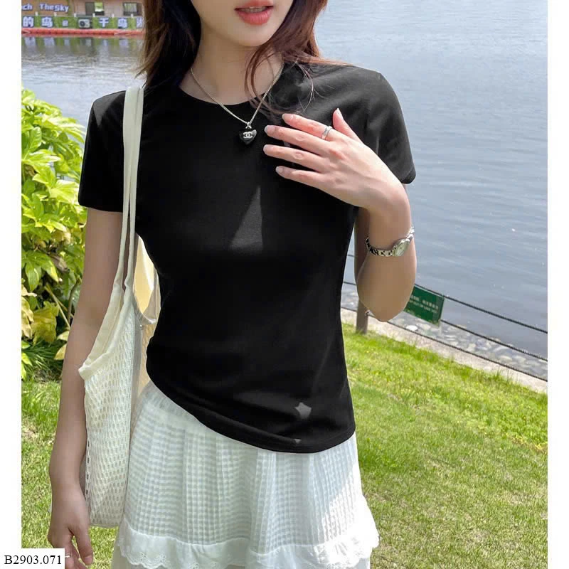 ÁO CỘC TAY NỮ  Sỉ 93k